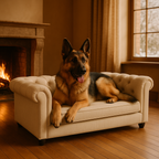 The PawLounge - by La Pawtique